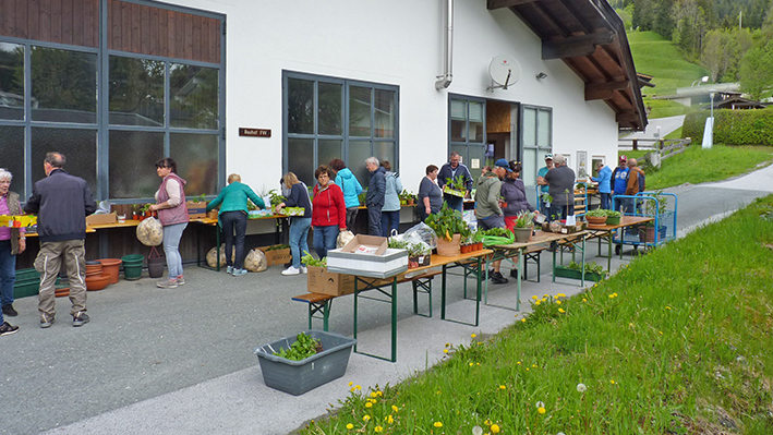 Pflanzentausch im Mai